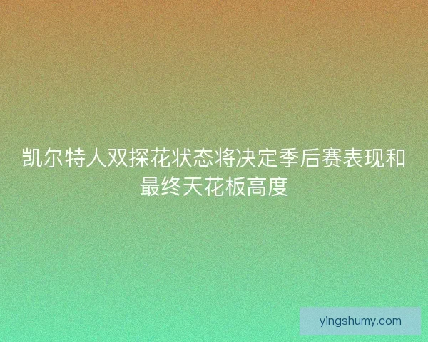 凯尔特人双探花状态将决定季后赛表现和最终天花板高度